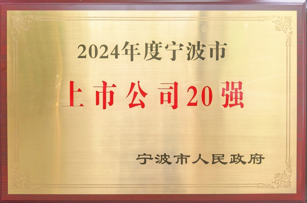 pp电子股份荣登“2024宁波上市公司20强”榜单